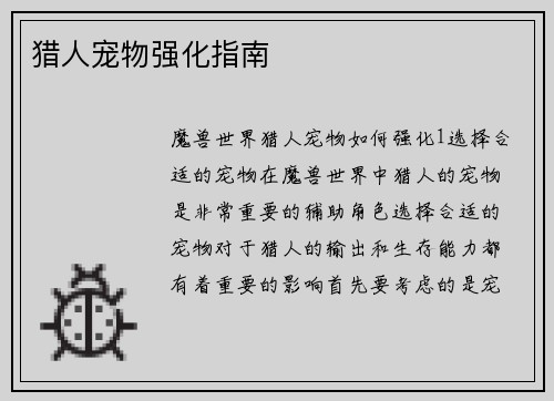 猎人宠物强化指南